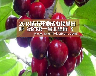 2016城市开发成本榜单出炉 纽约第一台北垫底_KY(图4) 开元