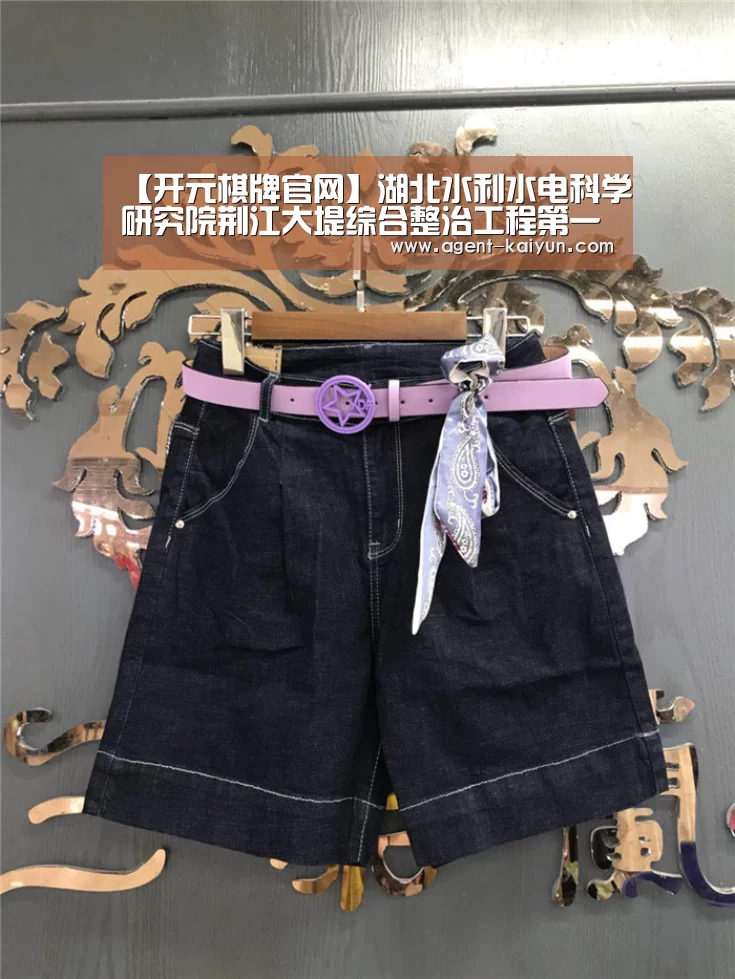 【开元棋牌官网】湖北水利水电科学研究院荆江大堤综合整治工程第一批单位工程顺利通过验收(图2) 开元