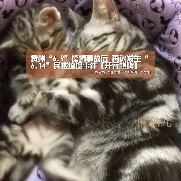 开元棋牌官网