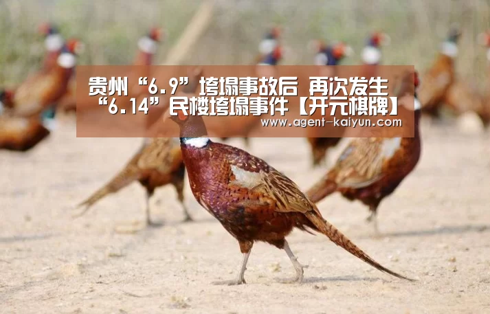贵州“6.9”垮塌事故后 再次发生“6.14”民楼垮塌事件【开元棋牌】(图2)