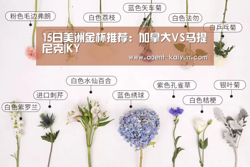 15日美洲金杯推荐：加拿大VS马提尼克|KY(图1)