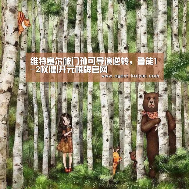 维特塞尔破门孙可导演逆转,鲁能1-2权健|开元棋牌官网(图1) 开元棋牌